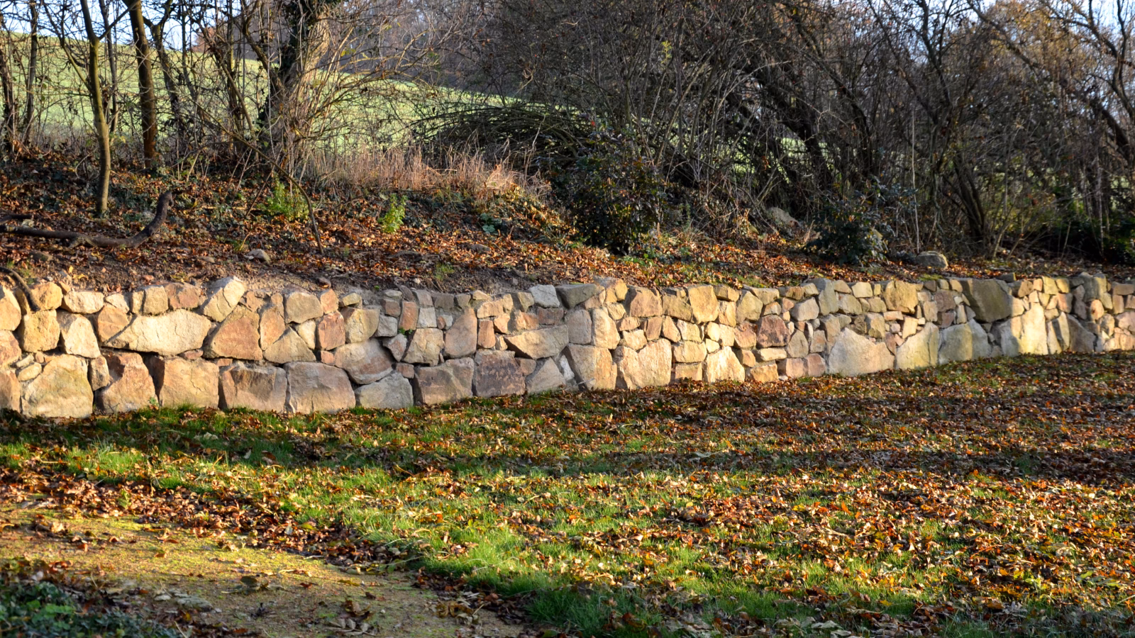 Low stone wall running along the edge of a wooded area in autumn, with fallen leaves on the ground and warm afternoon light across the stones.